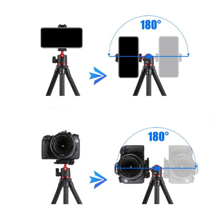 Portable SLR Camera Mobile Phone Live Mini Desktop Tripod Stand  With Head