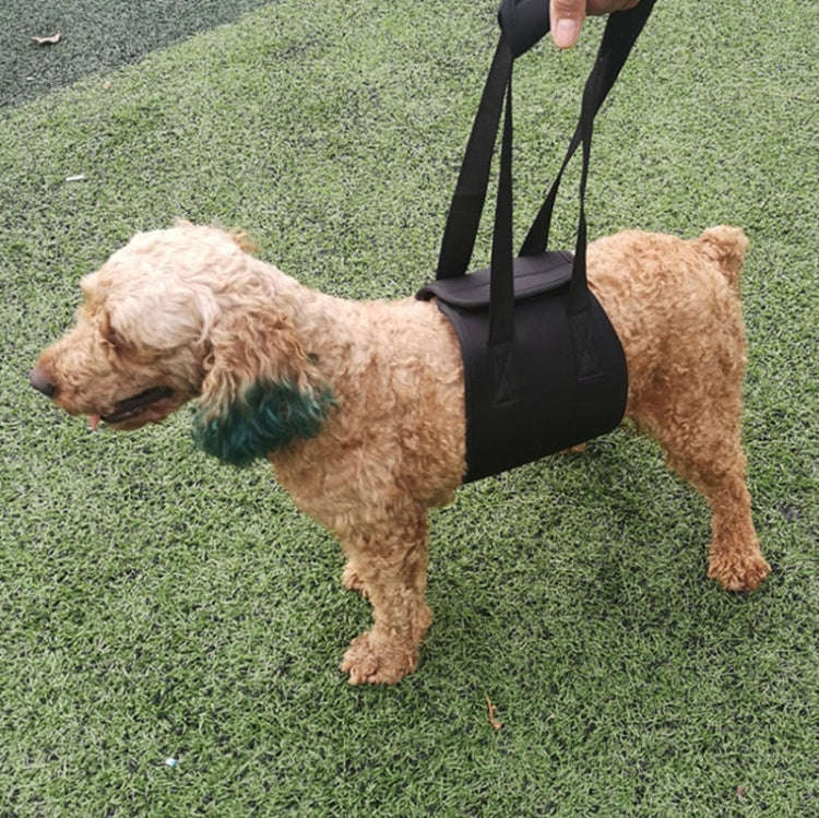 HCPET F1905 Disabled Dogs Assistive Belts Elderly Dogs Walking Assisted Leashes Pet Supplies, Siz...