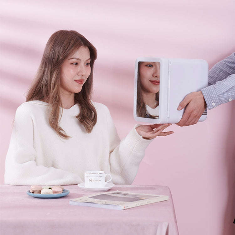 5L Beauty Makeup Mirror Skin Care Products And Facial Mask Refrigerator Semiconductor Car Home Re...