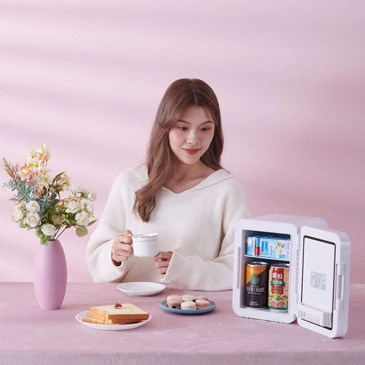 5L Beauty Makeup Mirror Skin Care Products And Facial Mask Refrigerator Semiconductor Car Home Re...