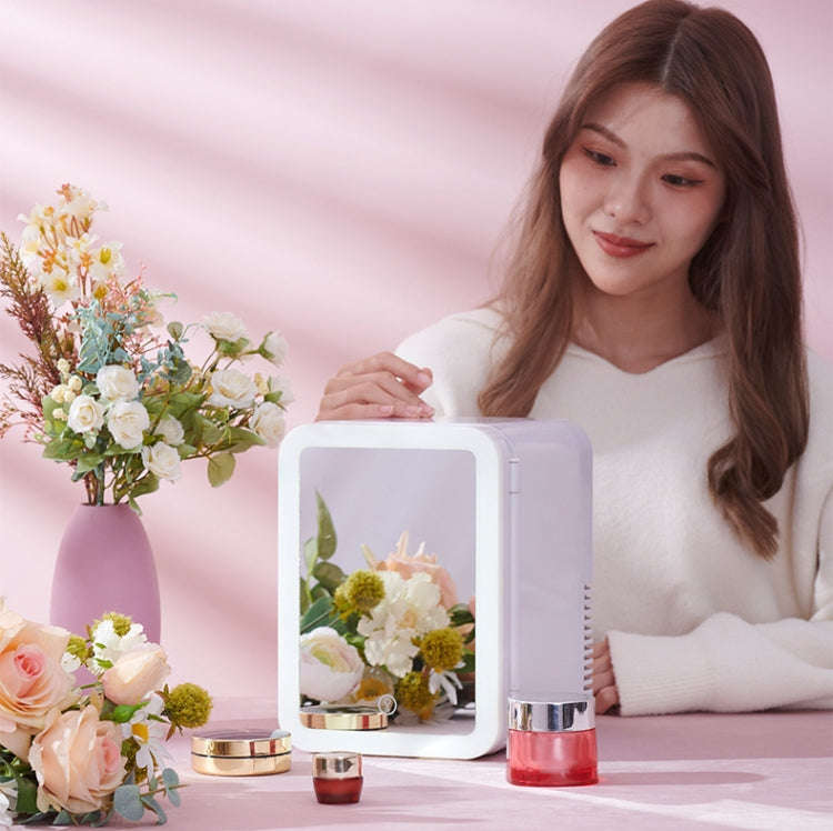 5L Beauty Makeup Mirror Skin Care Products And Facial Mask Refrigerator Semiconductor Car Home Re...