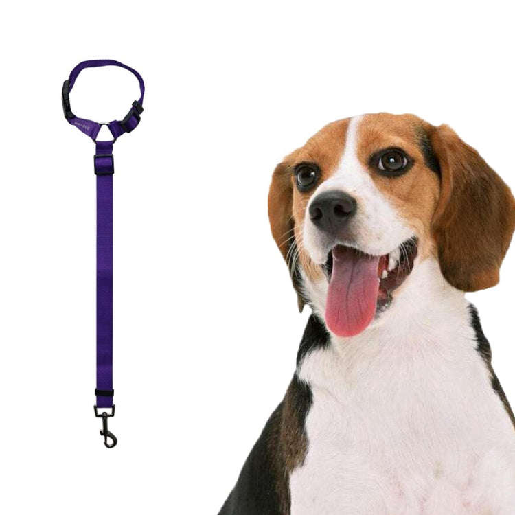 Pet Car Safety Rope Ring Dog Car Seat Belt Rear Seat Traction Rope(Purple)