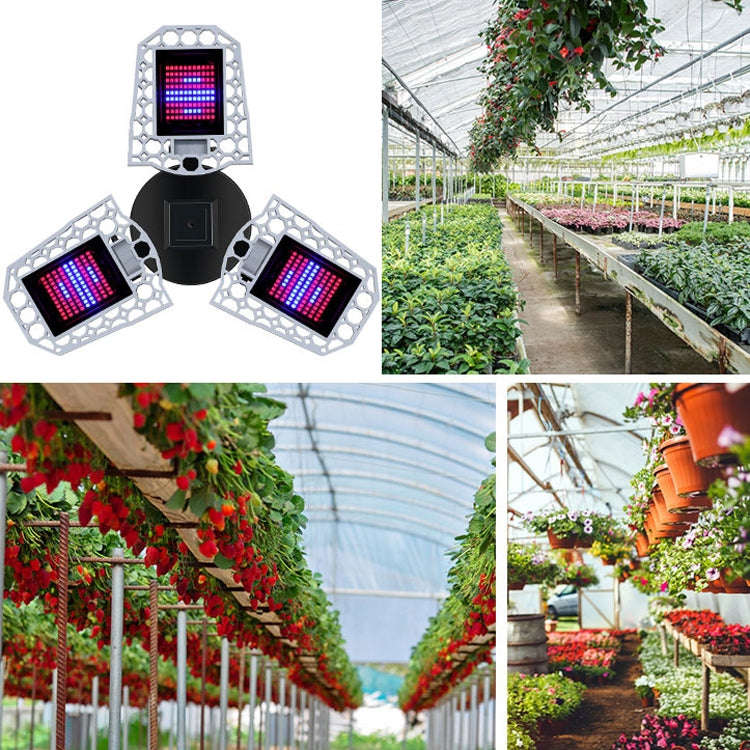 LED Plant Lamp Full Spectroscopy Red And Blue Fill Light Plant Growth Lamp, Power: E26 216 Beads