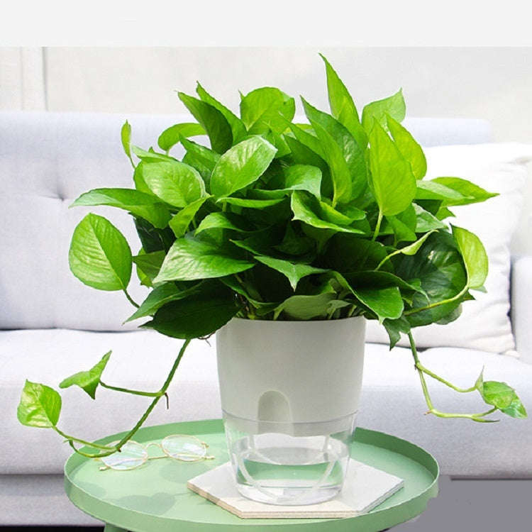 Transparent Plastic Double-Layer Water Storage Automatic Water-Absorbing Flowerpot, Size: A709 Ca...