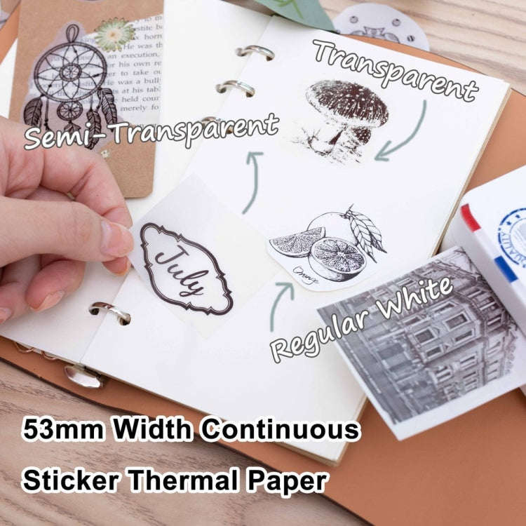 Phomemo M02S Pocket Small Bluetooth Handheld Portable Thermistar Tags Error Printer(Black)