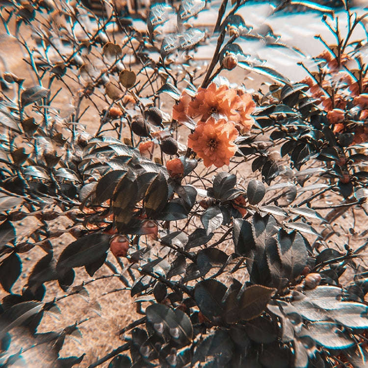 77mm 77mm Kaleidoscope Prism Foreground Blur Camera Glass Filter Lens
