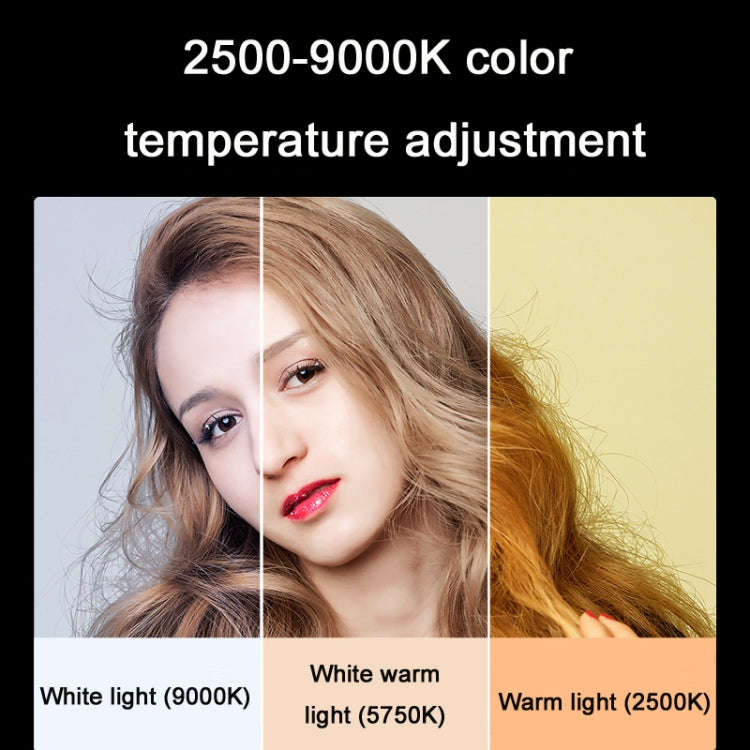 Ulanzi VL49 RGB Small LED Video Fill Light 6W Vlog Photography Beauty Light(Black)