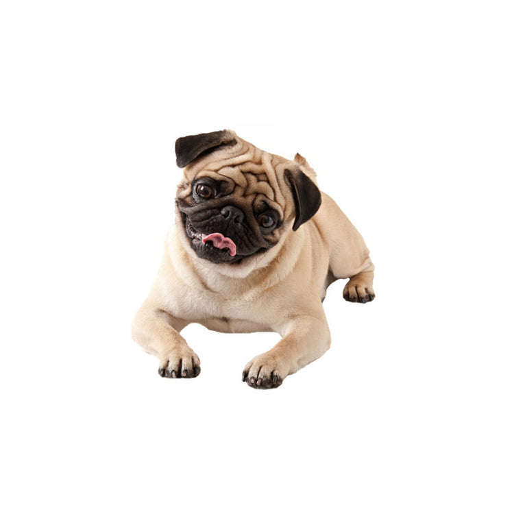 Style 2 Small 3D Simulation Dog Car Stickers Rain-Proof Sunscreen Car Sticker Scratch Shaving Dec...