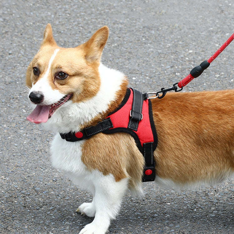 K9 Dog Adjustable Chest Strap, Size: L(Blue)