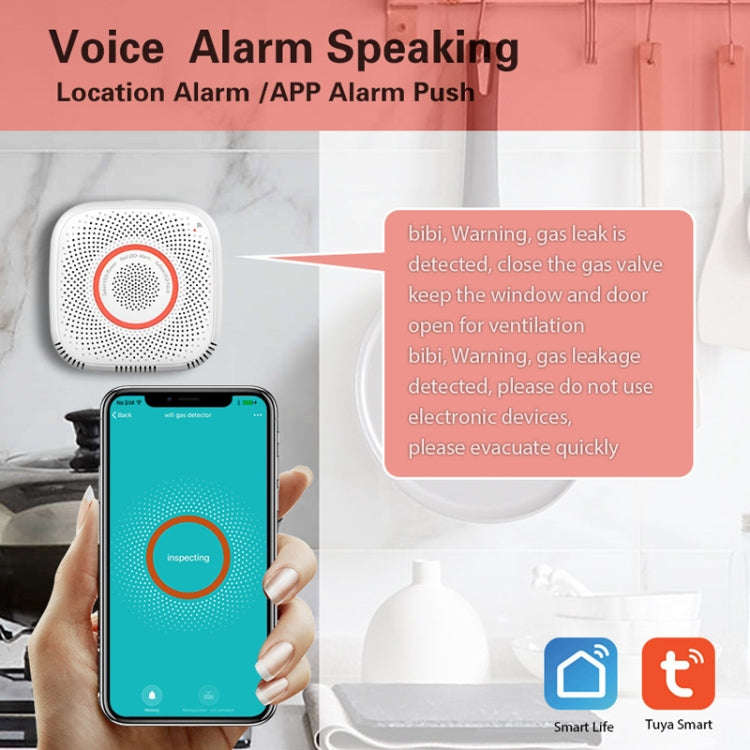 TY-GSA-87 Smart Home WIFI Gas Detector, Specification: US Plug