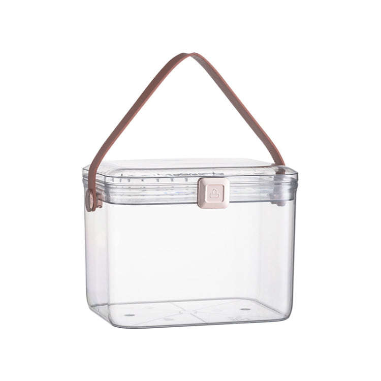 AA329 Double Layer Transparent Home Medicine Box Large Capacity Medicine Box(White)