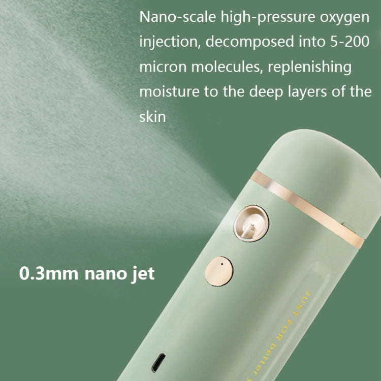 Yc168 Portable High Pressure Nano Oxygen Injector(Blue)