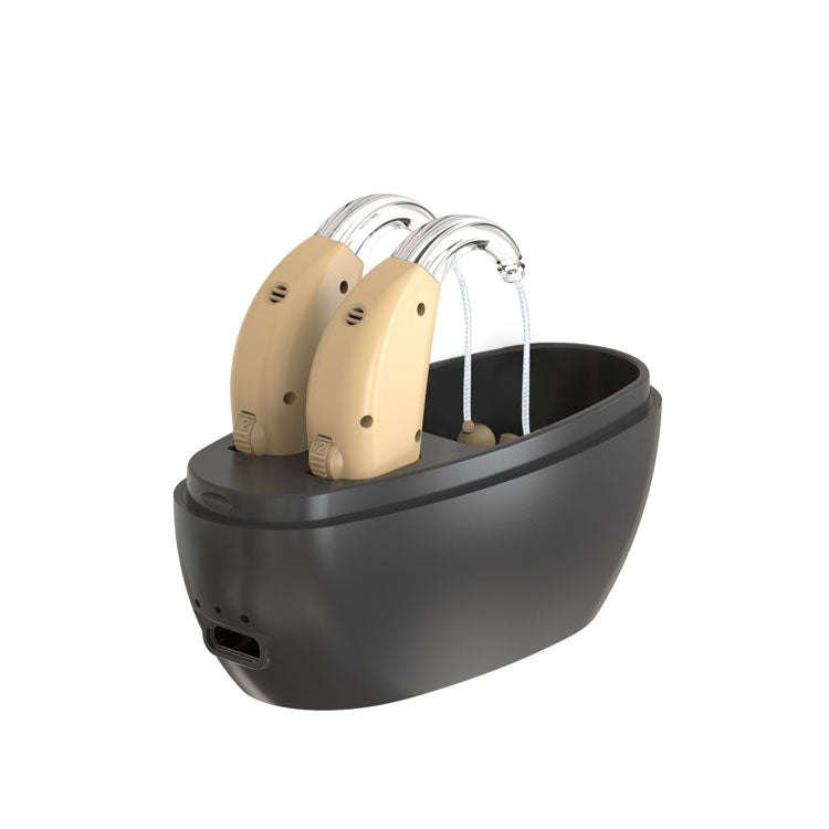 Elderly Use Can Charge Sound Amplifier Hearing Aid, Specification: US Plug(Skin Color Double Mach...