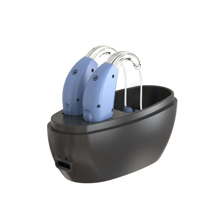 Elderly Use Can Charge Sound Amplifier Hearing Aid, Specification: US Plug(Blue Double Machine+Bl...
