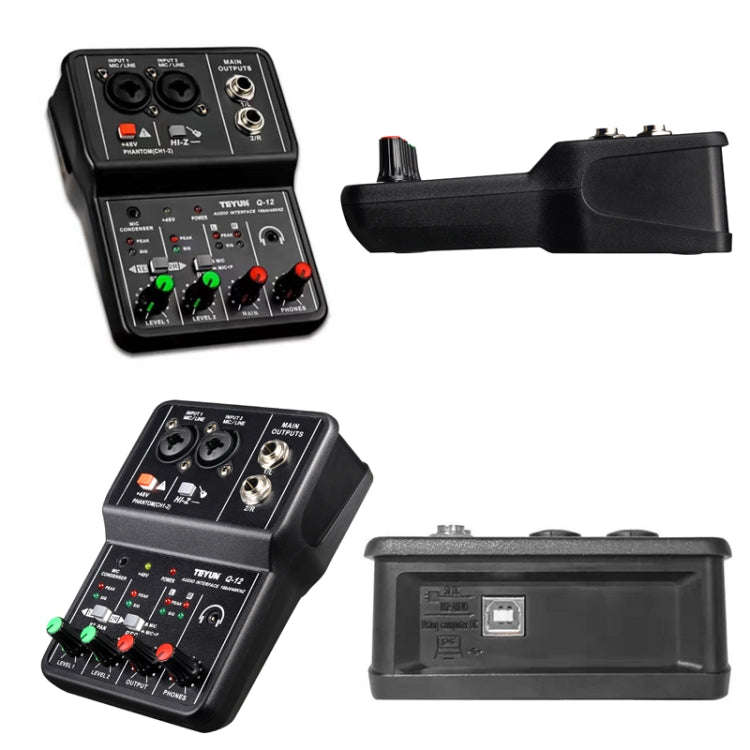 TEYUN Q-12 Computer Recording Sound Card USB Drive-free Recording Arranger(Black)