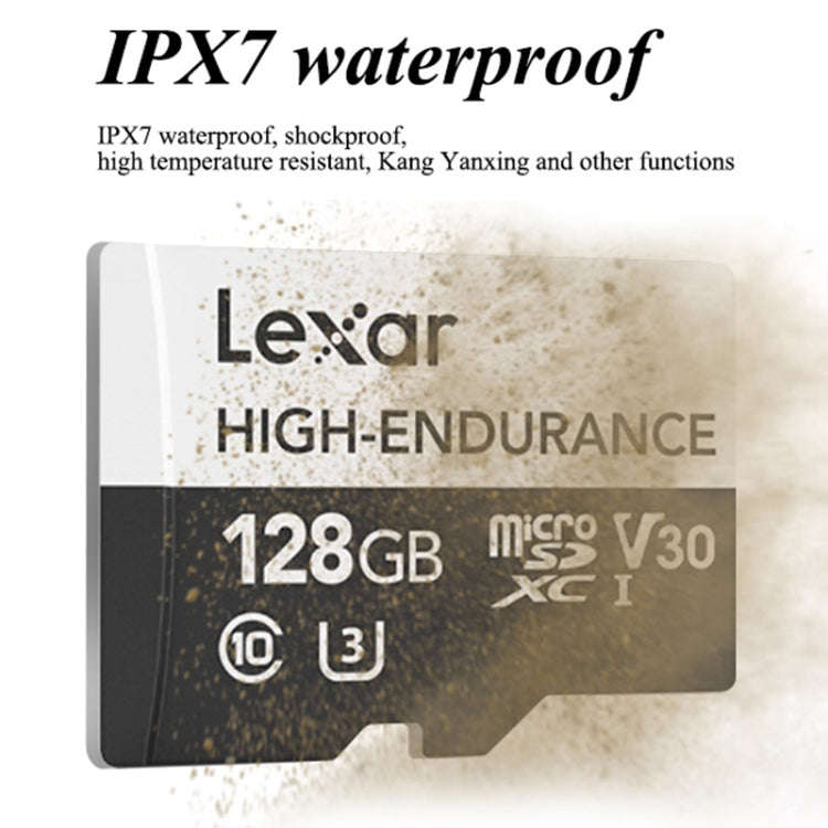 Lexar LSDM10 Security Surveillance Camera Dash Cam Memory Card, Capacity: 64GB