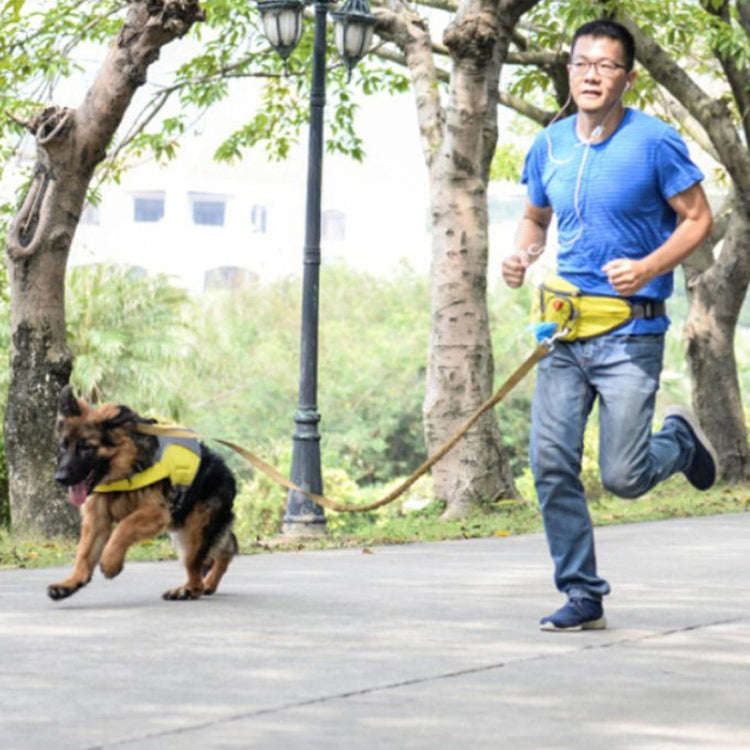 Lovoyager Pet Training Waist Bag Outdoor Walking Dog Snack Pocket(Blue)