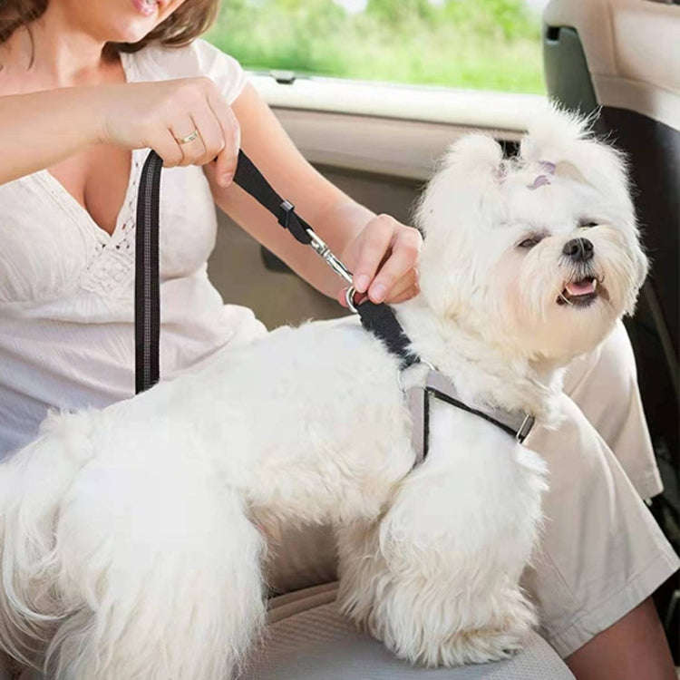 Elastic Reflective Car Dual-purpose Dog Leash(Black)