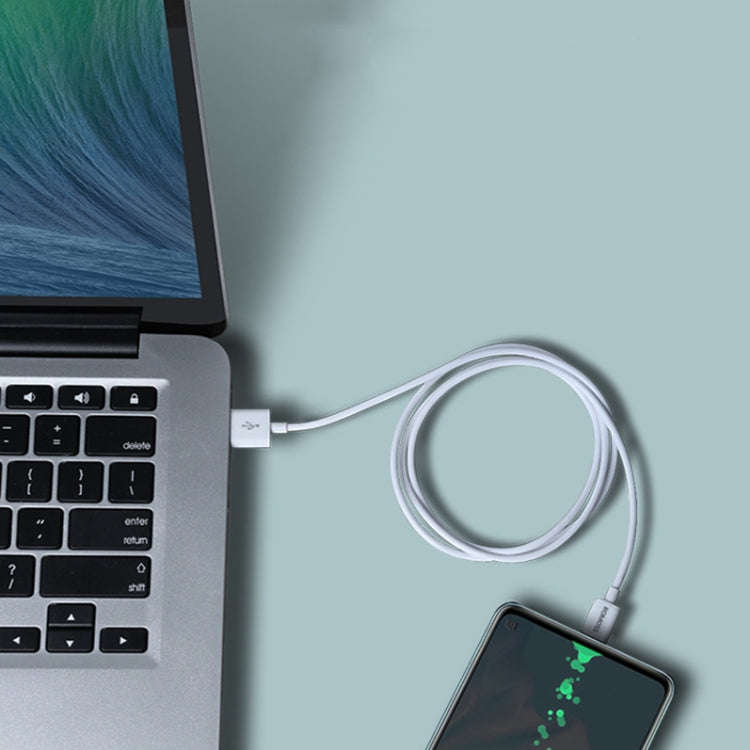 ROMOSS CB304 6A 100W USB to Type-C/USB-C Data Cable, Length: 0.2m