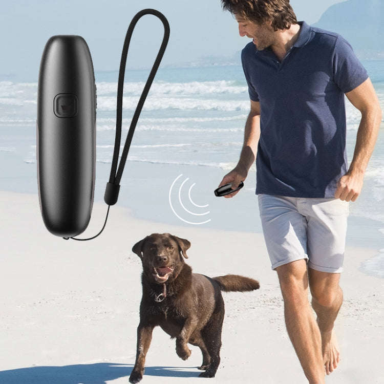 UB100 Ultrasonic Trainer Barking Device Handheld Portable Driving Artifact(Silver)