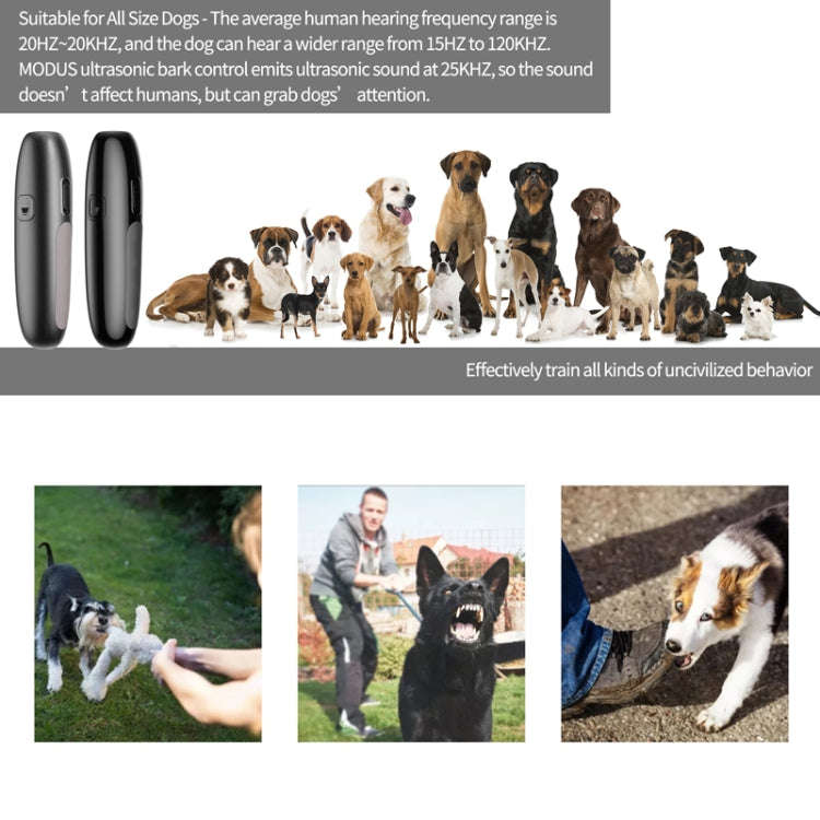UB100 Ultrasonic Trainer Barking Device Handheld Portable Driving Artifact(Silver)