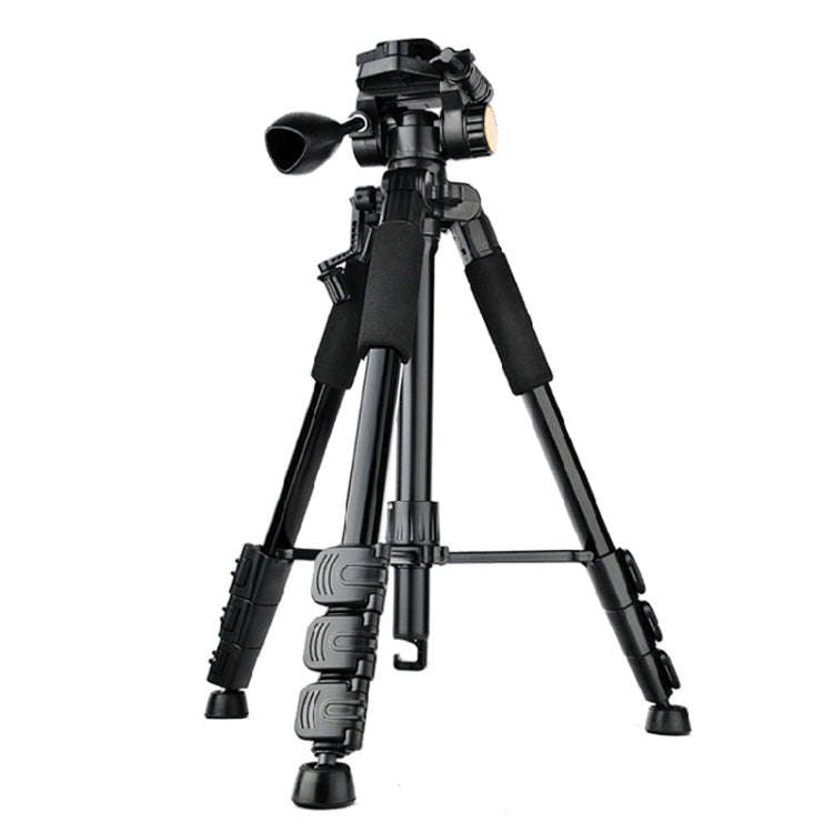 QingZhuangShiDai Q111 Aluminum Alloy Mobile Phone Camera Photography Tripod(Black)