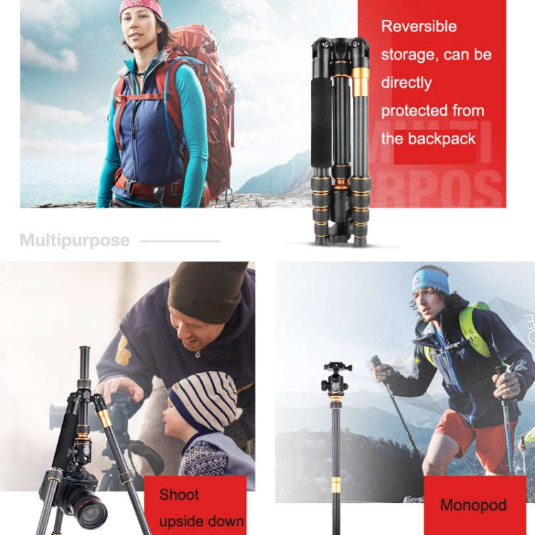 QingZhuangShiDai Q666C Portable Travel Photography Ball Head SLR Camera Carbon Fiber Tripod(Black)