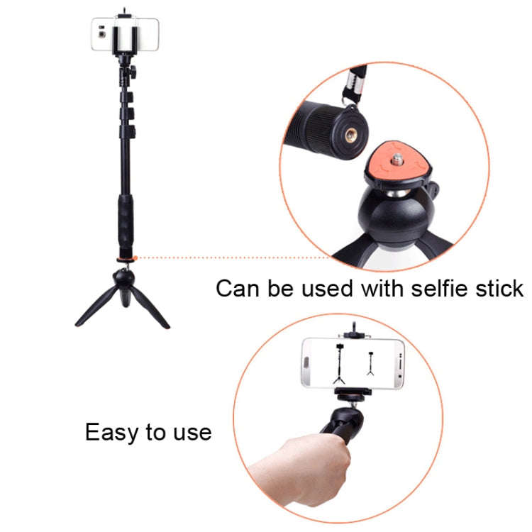 YUNTENG 228 Mini Tripod Camera Desktop Live Bracket Mobile Phone Selfie Frame(Black)