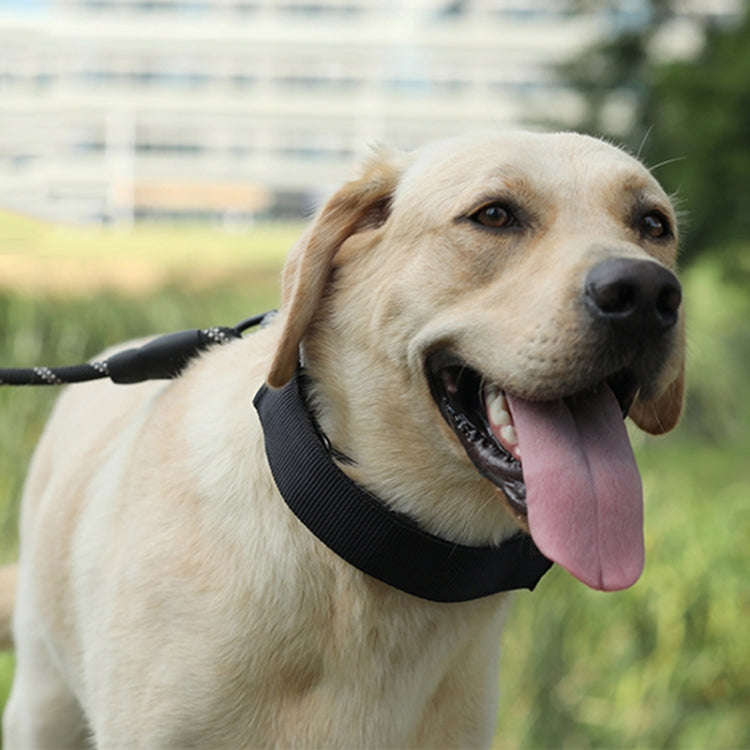 Cloth Tape Paste Detachable Training Stimulation Dog Collar, Size: XL 4.0mm x 60cm(With Cap)