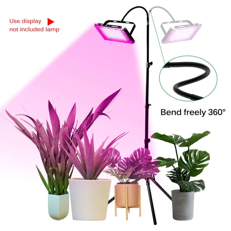 1.6m Live Photography Light Stand Thickened Anti-folding Tripod With 30cm Hose