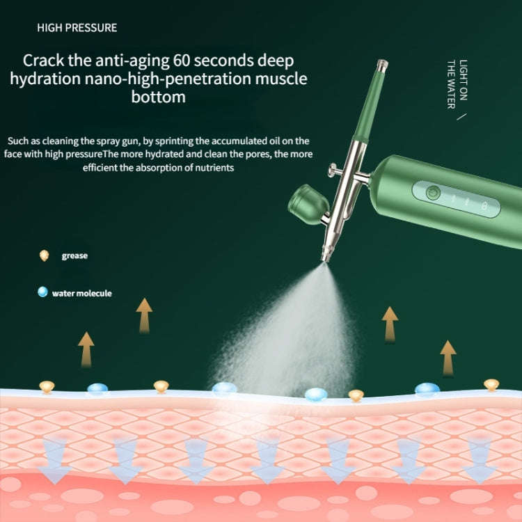 Handheld Home Sprayer Face High Pressure Oxygen Hydration Beauty Instrument(2133 Green)