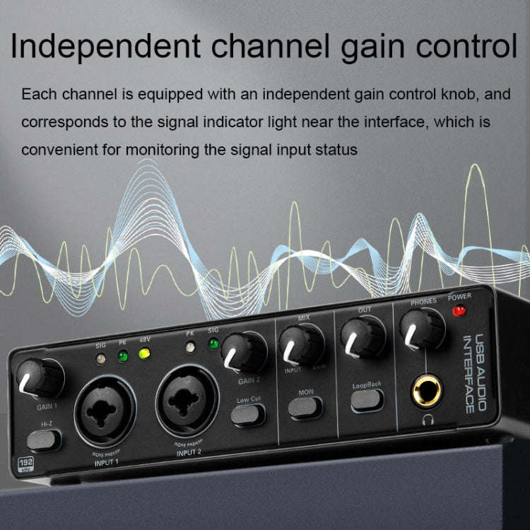 SK-1 USB Computer Driver-free Recording Sound Card Instrument Arranger Mixer