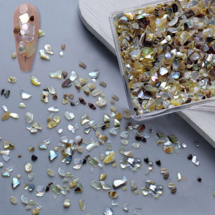 Nail Art Decoration Seashell Fragment Nail Decoration, Style: 06 Mixed Color