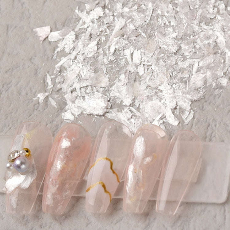 10 Boxes Velvet Shells Mica Piece Nail Stickers Nail Sequins Jewelry(02 Big Pieces)