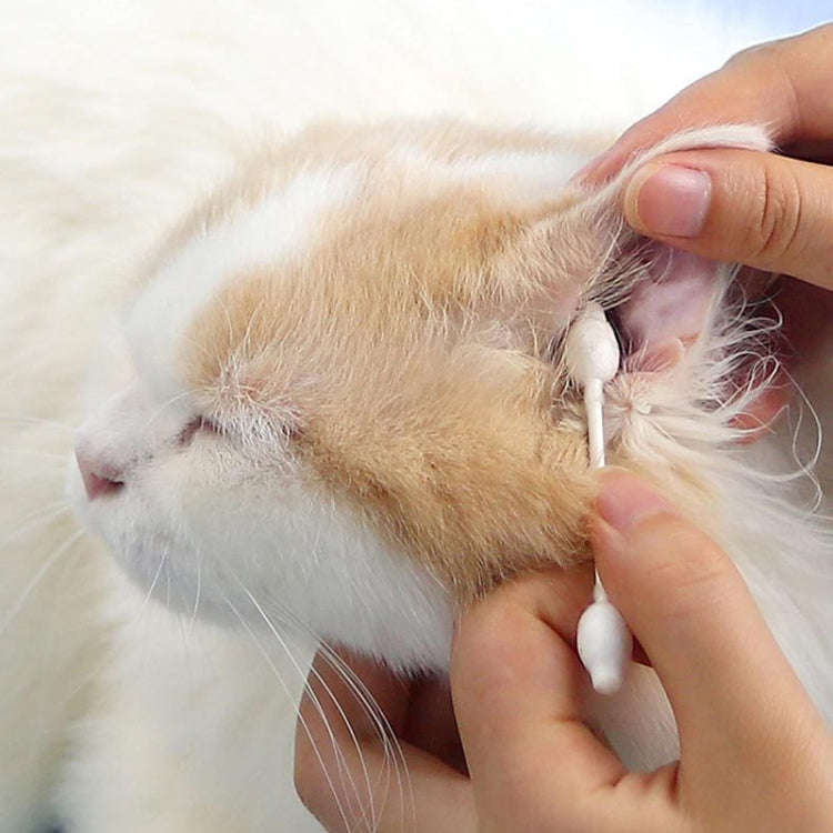 HTL0033017 2boxes Pet Cotton Swabs Cat Dog Ear Cleaning Supplies