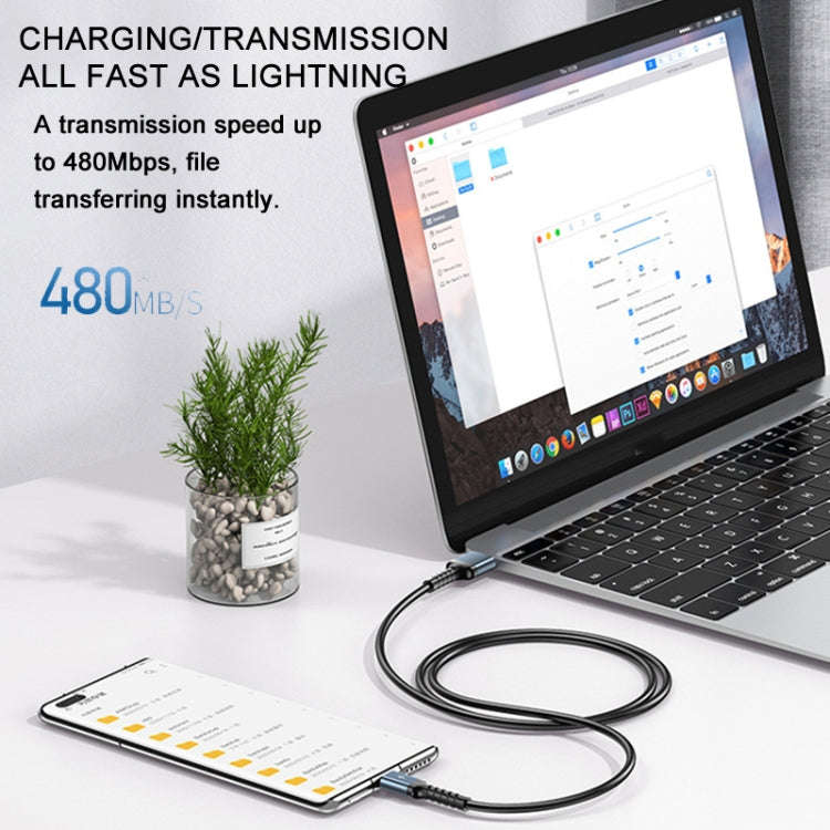 REMAX RC-C008 USB To  USB-C/Type-C 2.4A TPE Soft Anti-breakage Data Cable,Length 1m(White)