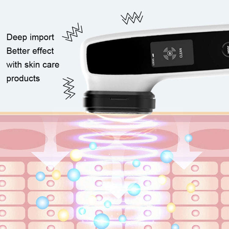 KAKUSAN KKS154-A EMS Microcurrent Home Photonic Skin Rejuvenation RF Beauty Instrument