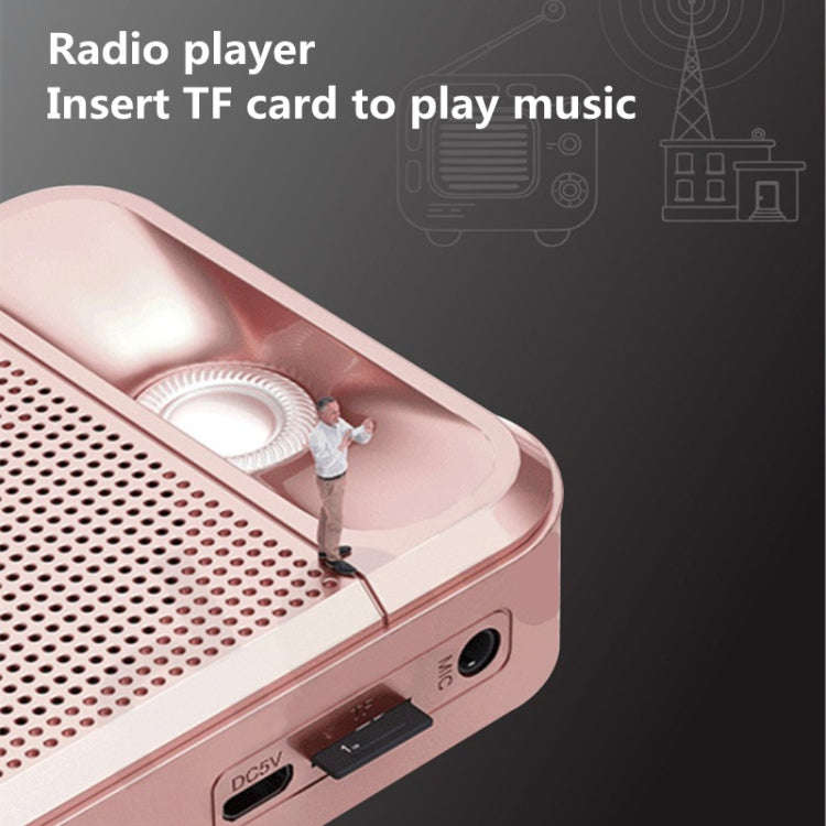 Rolton  K700 Bluetooth Dual-speaker Audio Speaker Megaphone Voice Amplifier(Rose Gold)