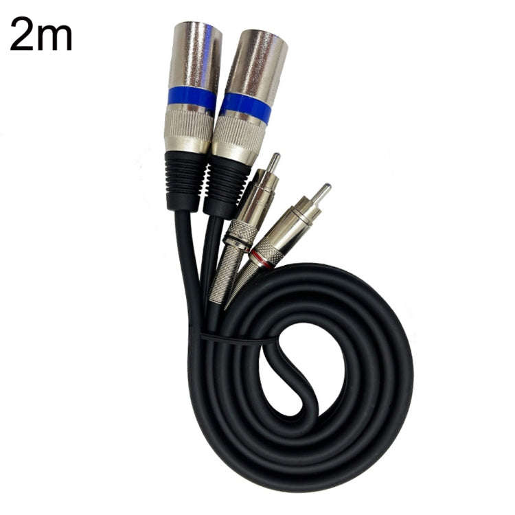 2RCA Male 2XLR Caron Male Speaker Audio Balance Cable, Length: 2m