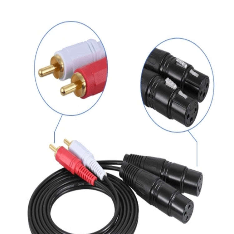 2RCA To 2XLR Speaker Canon Cable Audio Balance Cable, Size: 1m(Dual Lotus To Dual Female)