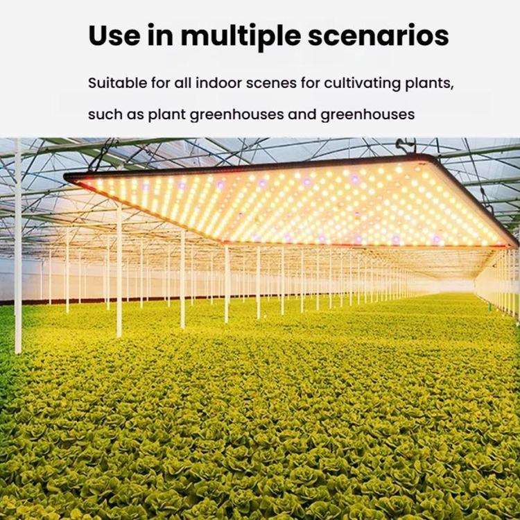LED Quantum Board Edged Greenhouse Plant Growth Fill Light, Specification: UK Plug(Sunlight)