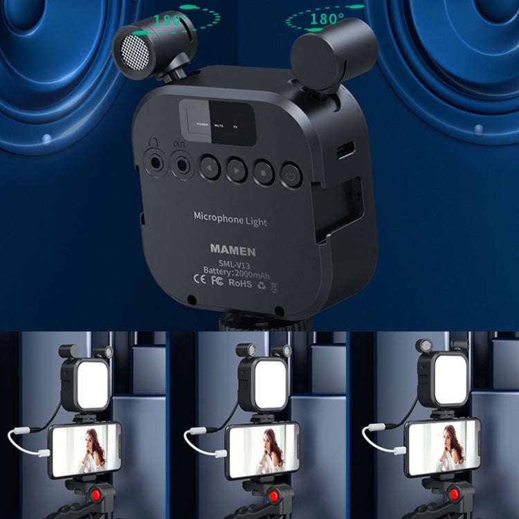 KIT-11LM Tripod Fill Light With Microphone Vlogging Kit For Live Phone Recording(Black)