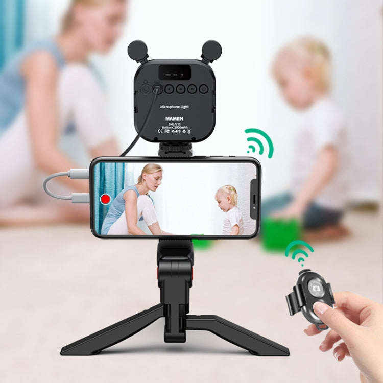 KIT-11LM Tripod Fill Light With Microphone Vlogging Kit For Live Phone Recording(Black)
