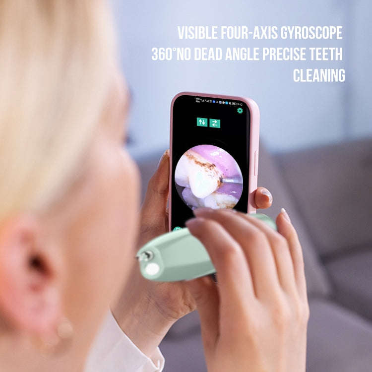 FY-B700 Visual Ultrasonic Scaler Tartar Calculus Tooth Stain Remover Dental Beauty Instrument(Blu...