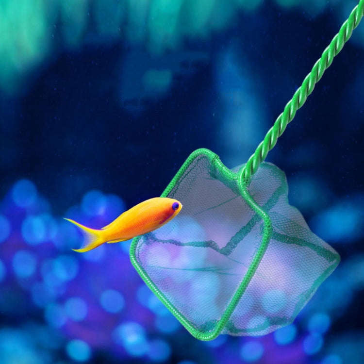 10 inch Fish Tank Fish Net Square Aquarium Squid Net