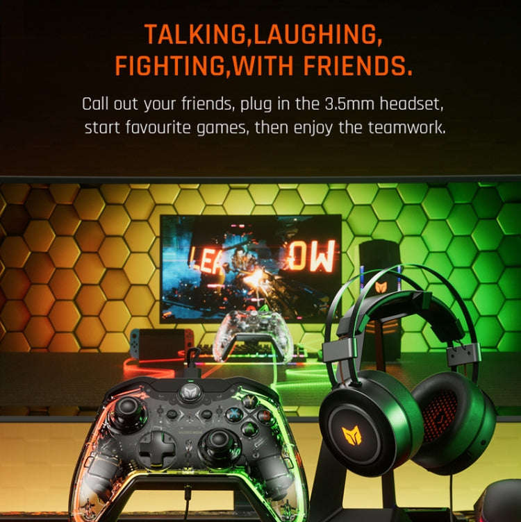 BIGBIGWON C1 Lite  RGB Light Wired Gamepad Controller For PC/Switch