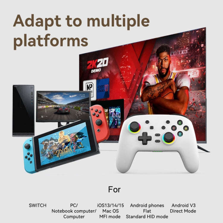 Wireless Bluetooth Somatosensory Vibration Gamepad for Nintendo Switch/Switch PRO, Color: White