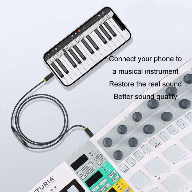 1m JINGHUA 3.5mm Cable Audio Conversion Microphone Two-way Transcriber