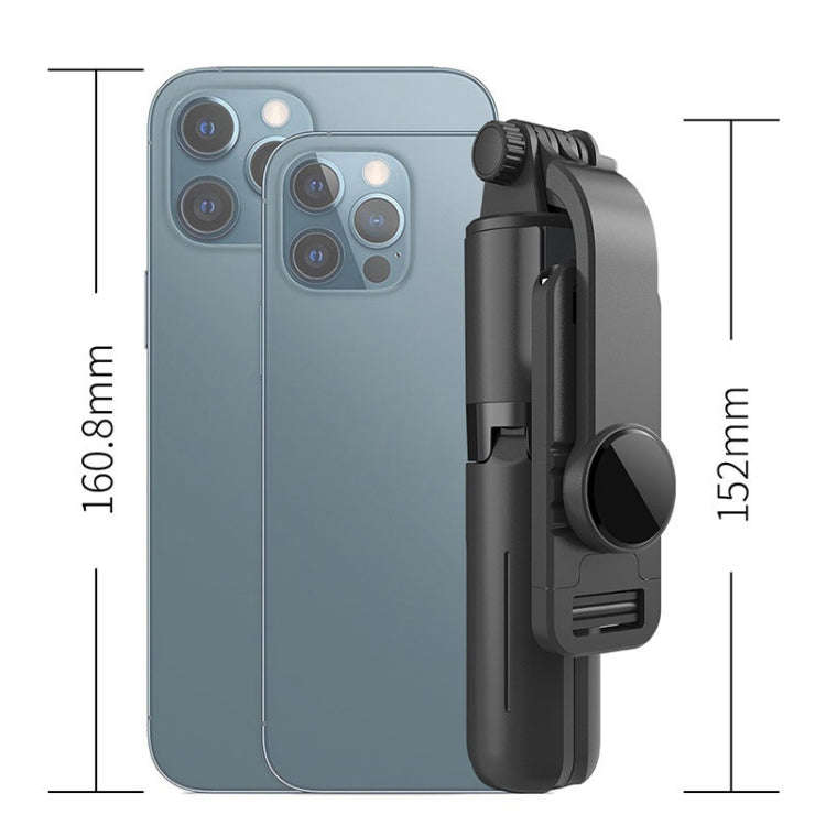 CYKE Mini Phone Selfie Stick Tripod Multifunctional Desktop Live Bracket, Style: Stainless Steel