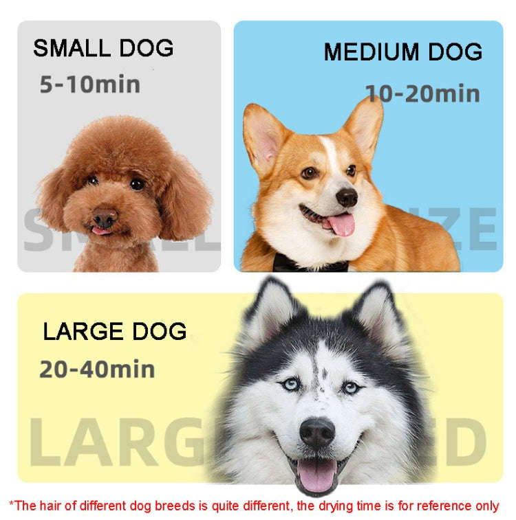 2100W Dog Dryer Stepless Speed Pet Hair Blaster Pet Water Blower 220V EU Plug(Pure Yellow)